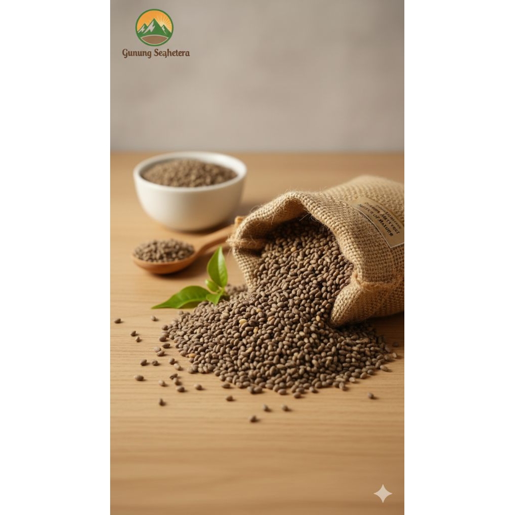 biji balsa putih super  isi 30rb biji (unggul)