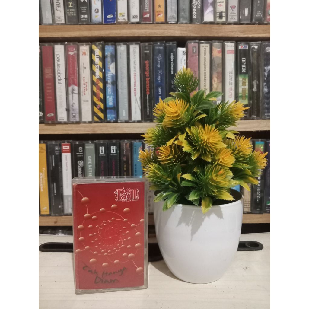 KASET PADI TAK HANYA DIAM