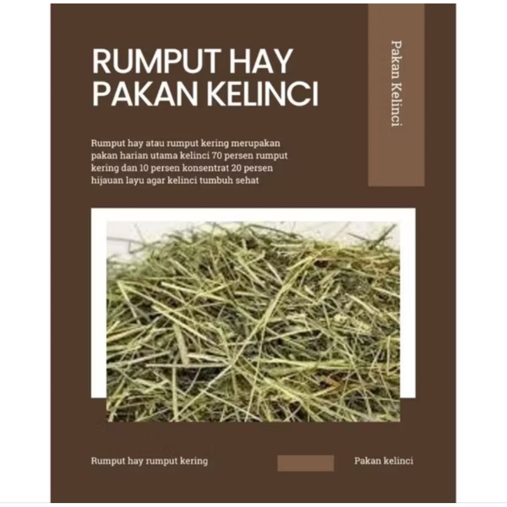 1 kg Rumput hay rumput kering untuk pakan kelinci marmut domba dll