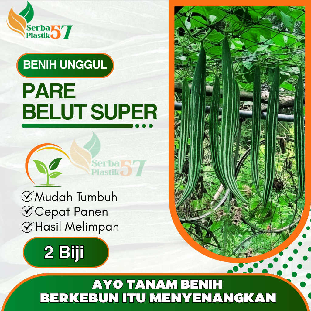 2 butir benih pare belut super unggul / bibit pare paria belut /biji pare ular panjang mudah tumbuh