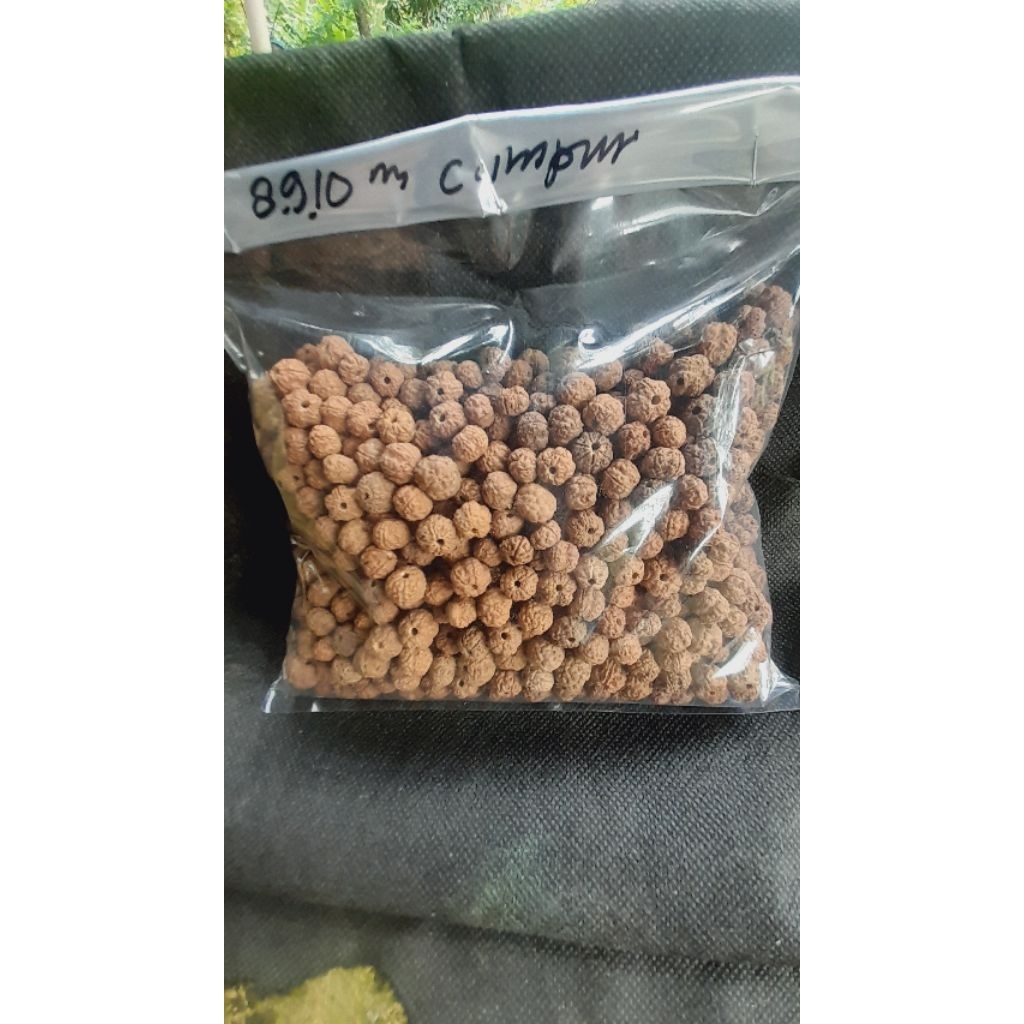 Jenitri bahan kerajinan 1000 butir sudah berlobang ukuran campur 8 9 10