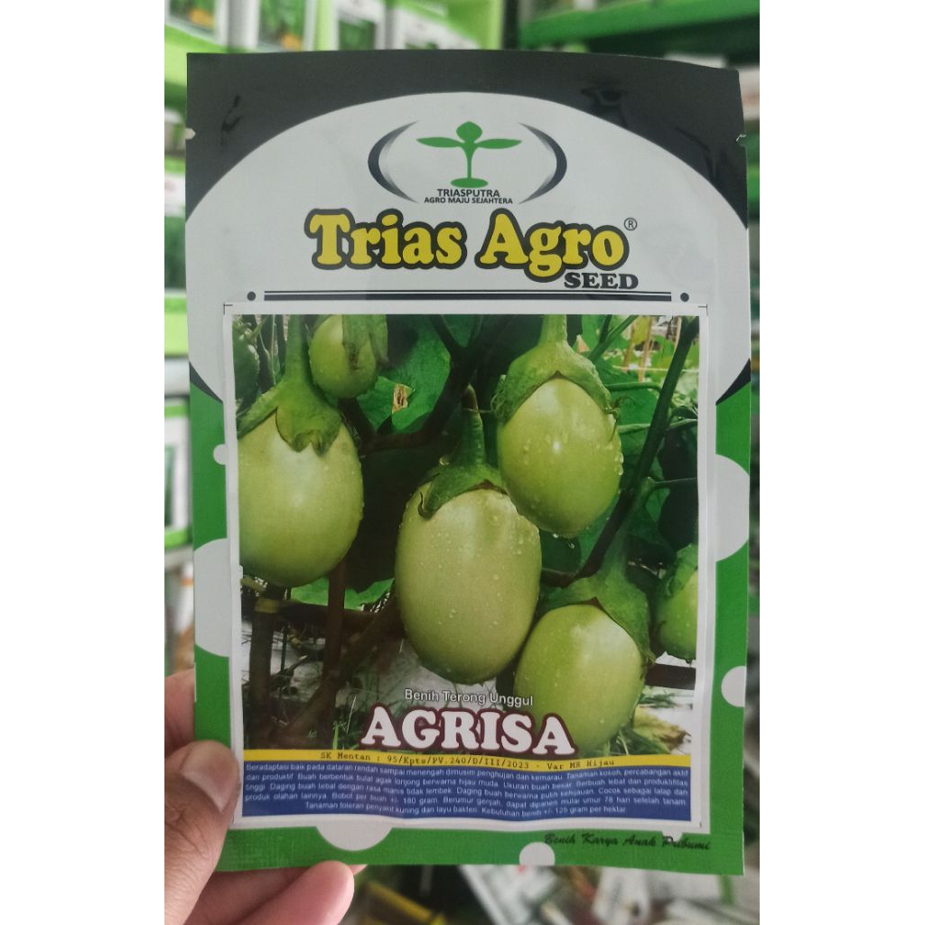 Benih Unggul Terong Bulat Hijau AGRISA Original Trias Agro Seed Isi 10 Gram