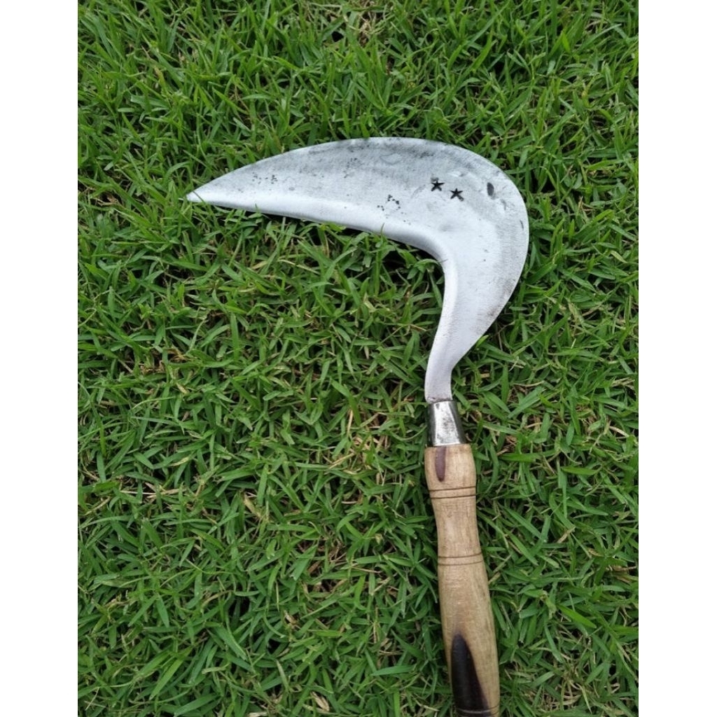 Arit Rumput Super Tajam Siap Pakai Bintang Bintang Original