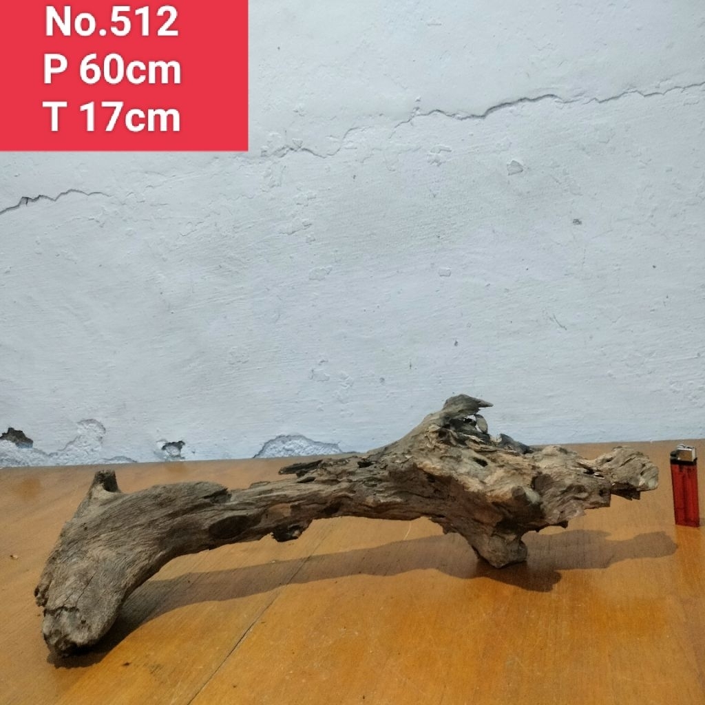 bonggol akar santigi laut 512 akar dekorasi aquascape aquarium