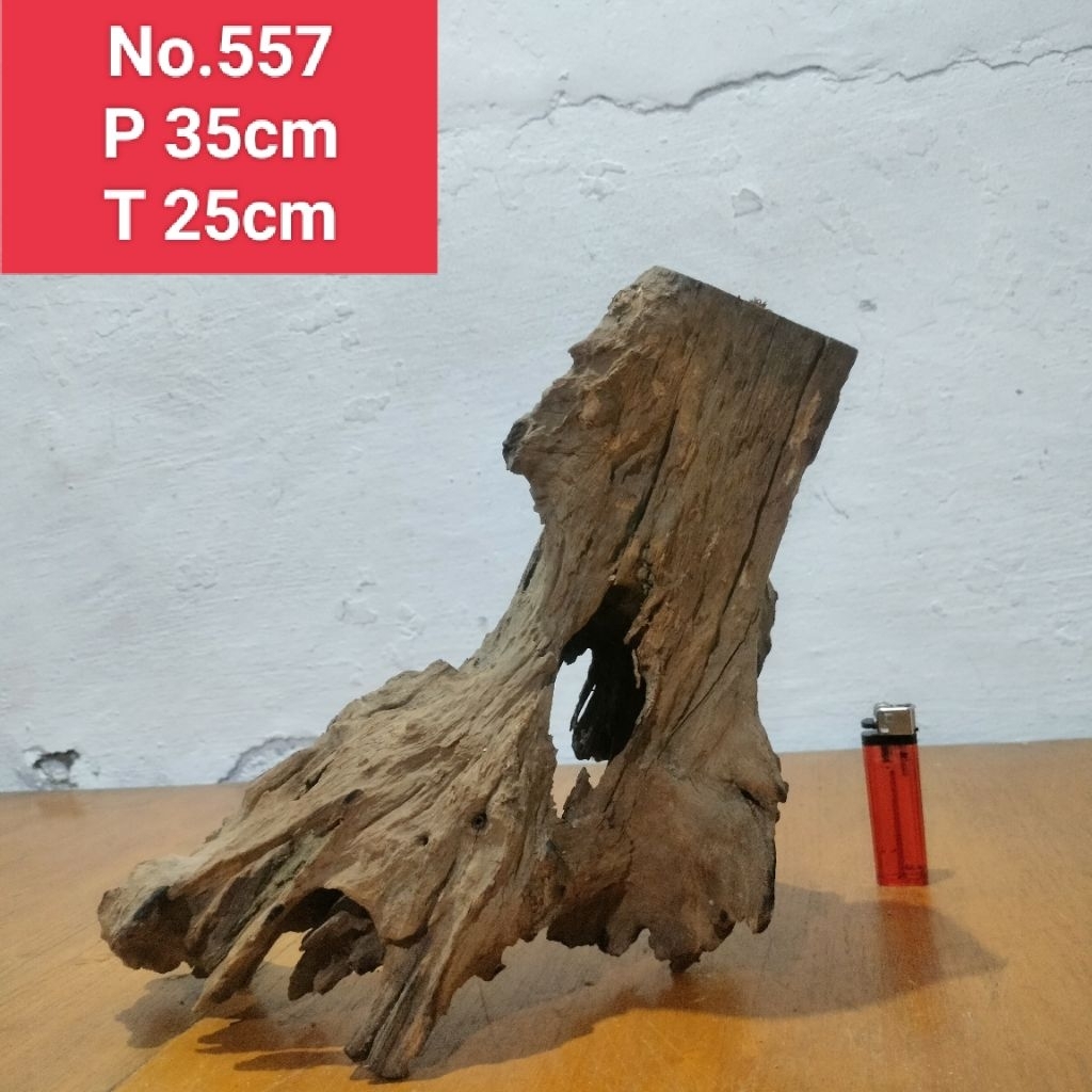 bonggol kayu santigi laut akar dekorasi aquascape aquarium 557