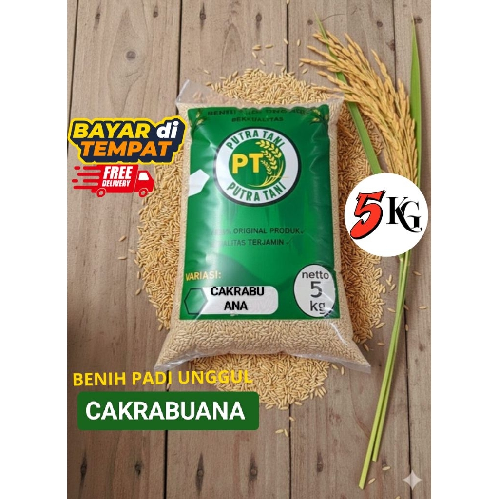 BENIH PADI UNGGUL (CAKRABUANA/AGRITAN),KEMASAN 5KG KULITAS SUPER PREMIUM