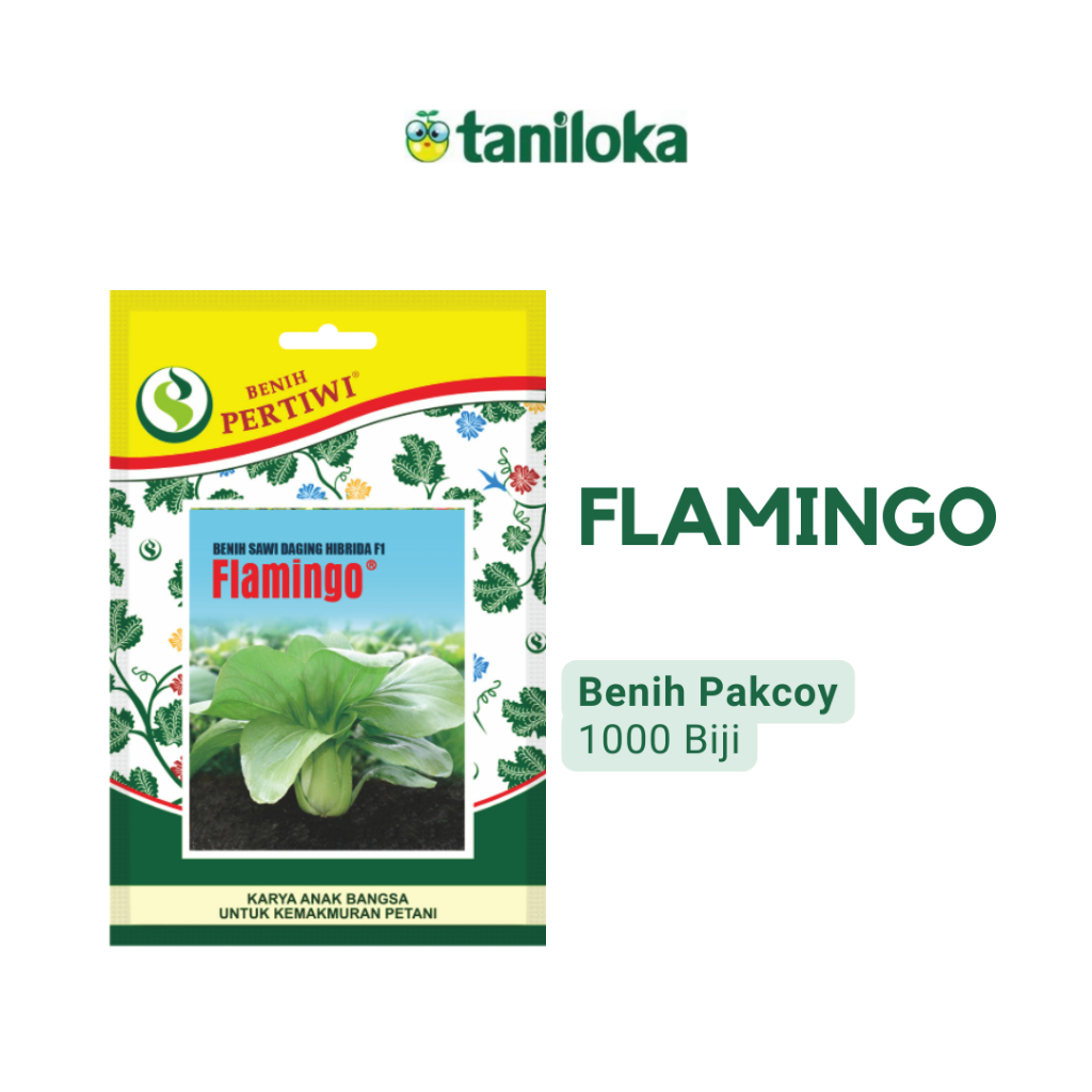 Benih Pertiwi - Benih Pakcoy Flamingo (1000 Biji)
