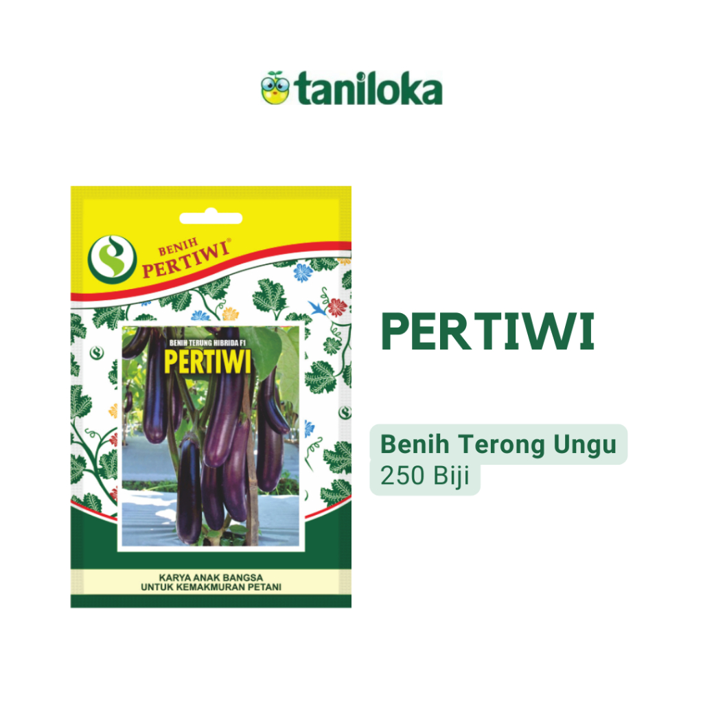 Benih Pertiwi - Benih Terong Ungu Pertiwi (250 Biji)