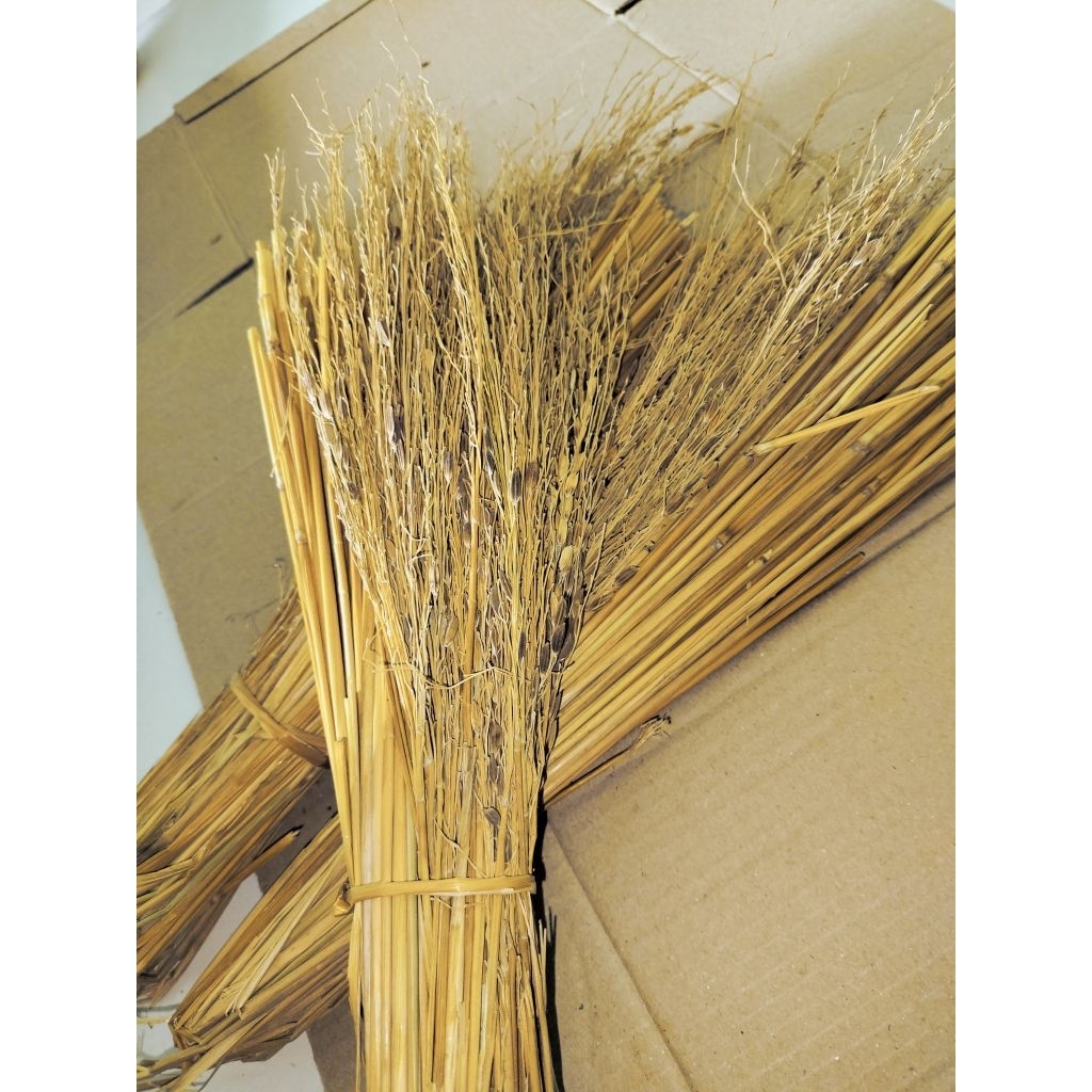 Jerami ketan hitam merang sapu ketan hitam asli