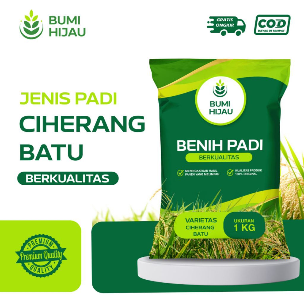 BENIH PADI BIBIT PADI CIHERANG BATU KEMASAN 1KG KUALITAS SUPER PREMIUM