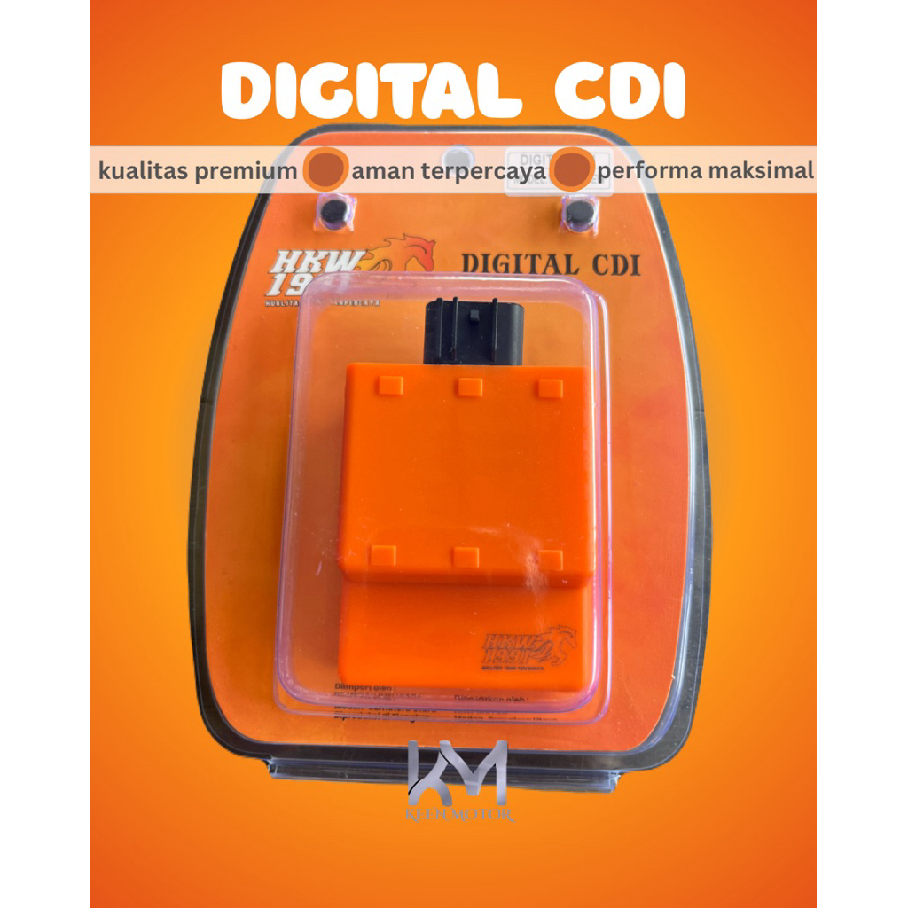 DIGITAL CDI VEGA R NEW HKW 1991
