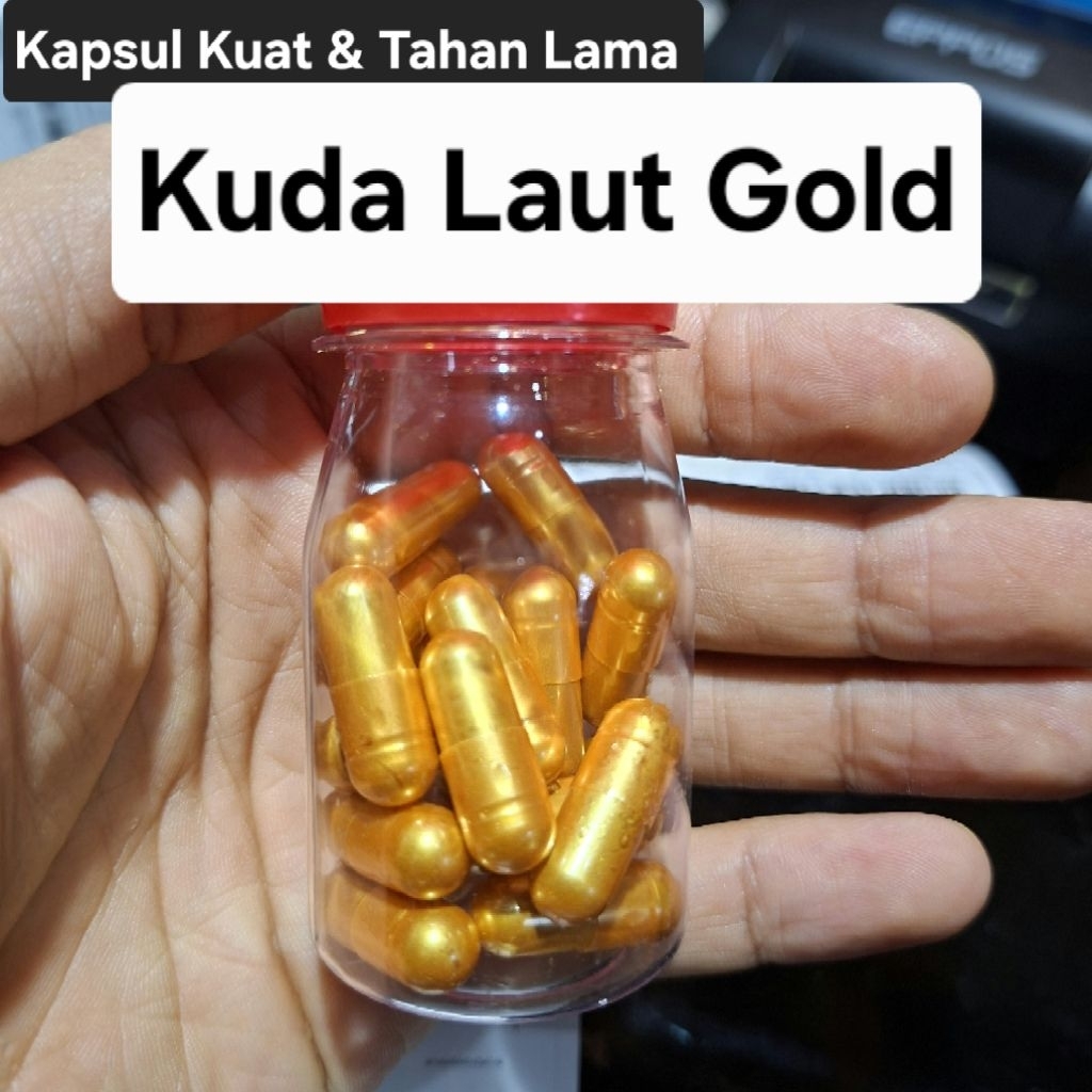 Kapsul Kuda Laut Gold Suplemen Herbal