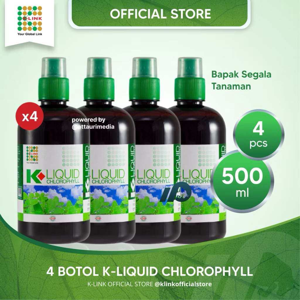 klorofil k-link 500ml klorofil kliquid original paket 4 botol klorofil kliquid