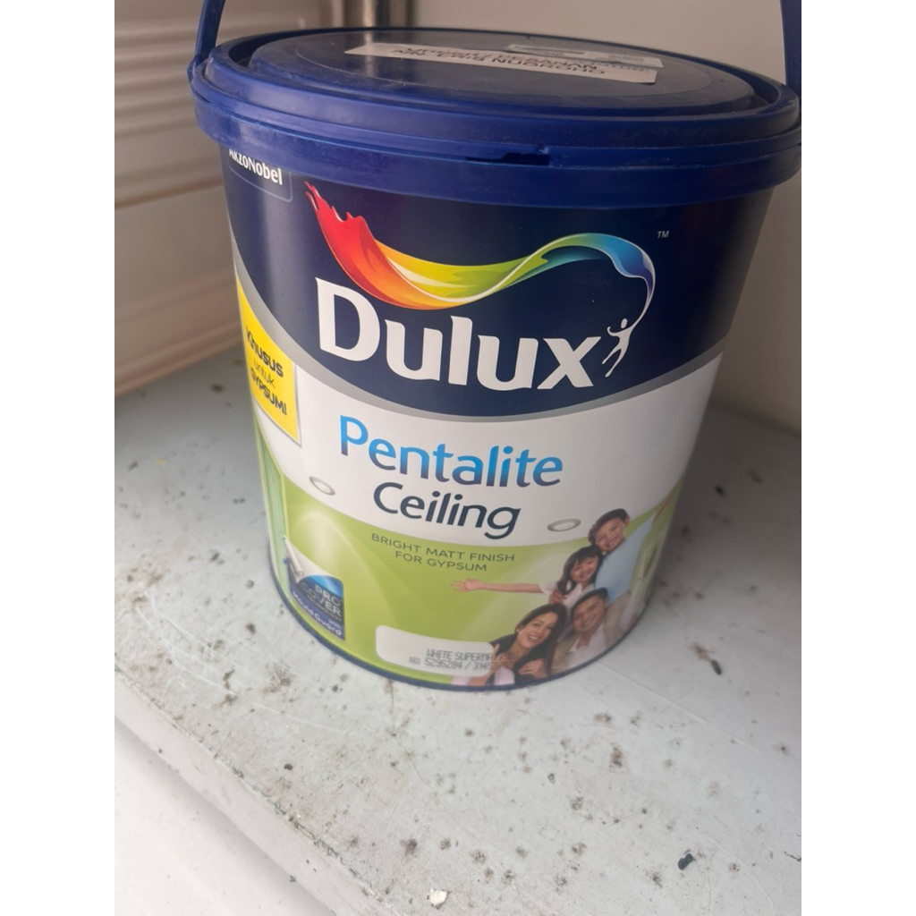 Dulux pentalite ceiling