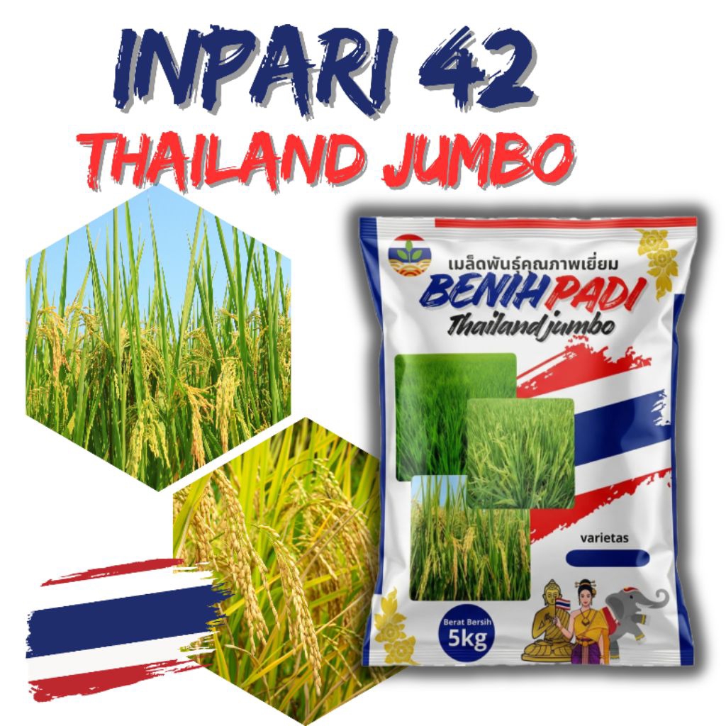 Benih Padi Inpari 42 Jumbo Thailand 5kg