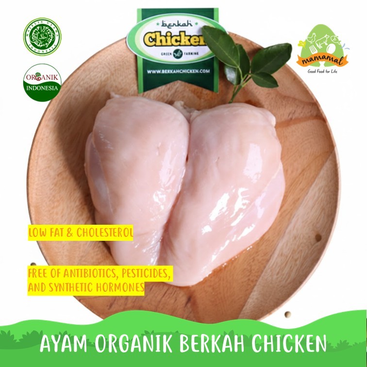 Berkah Chicken Dada Fillet Ayam Organik