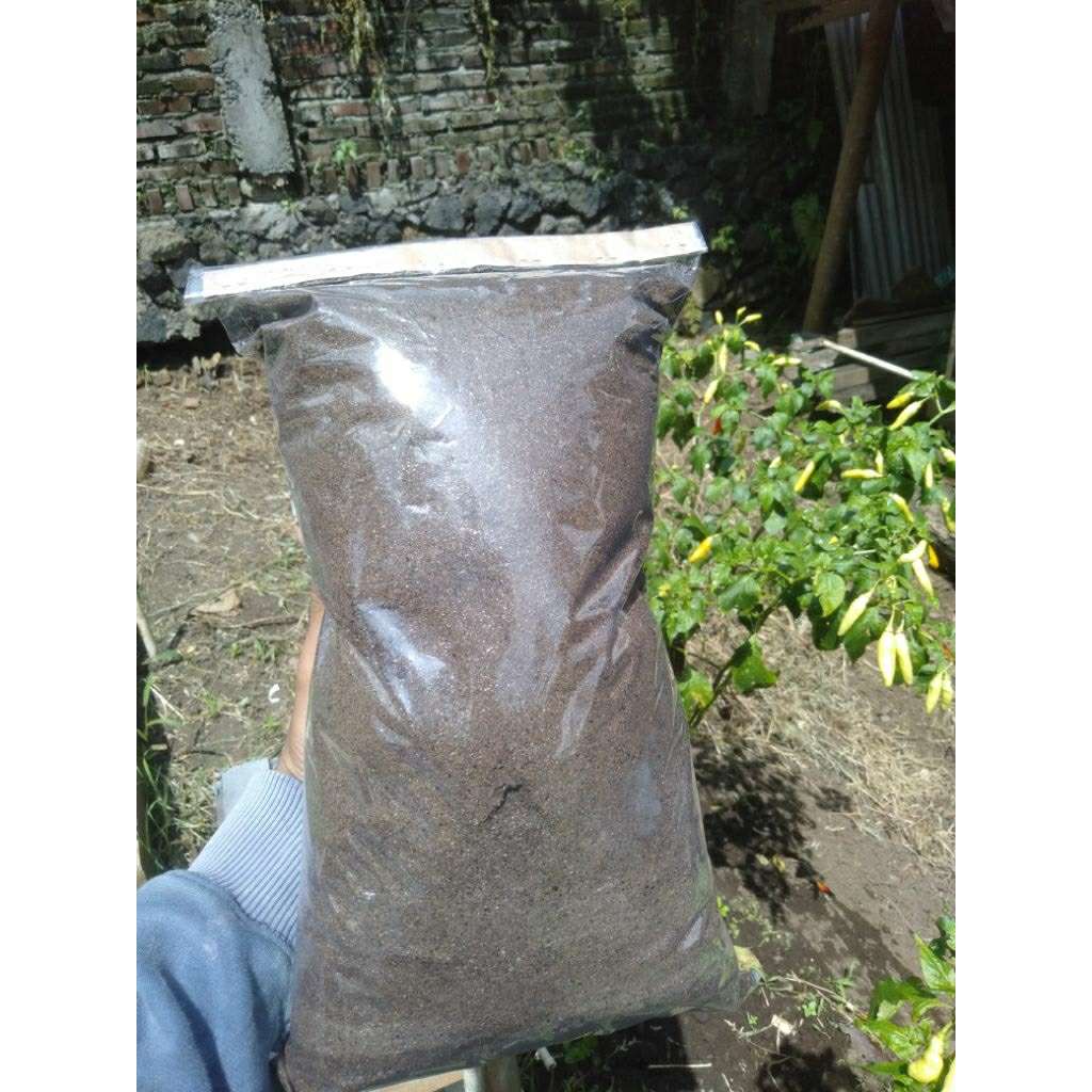 pupuk kohe kelelawar