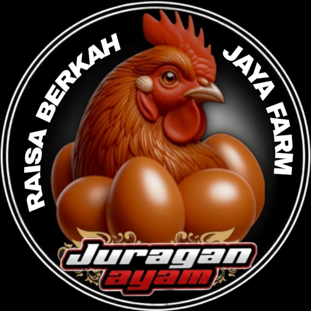 Telur Fertil Ayam KUB