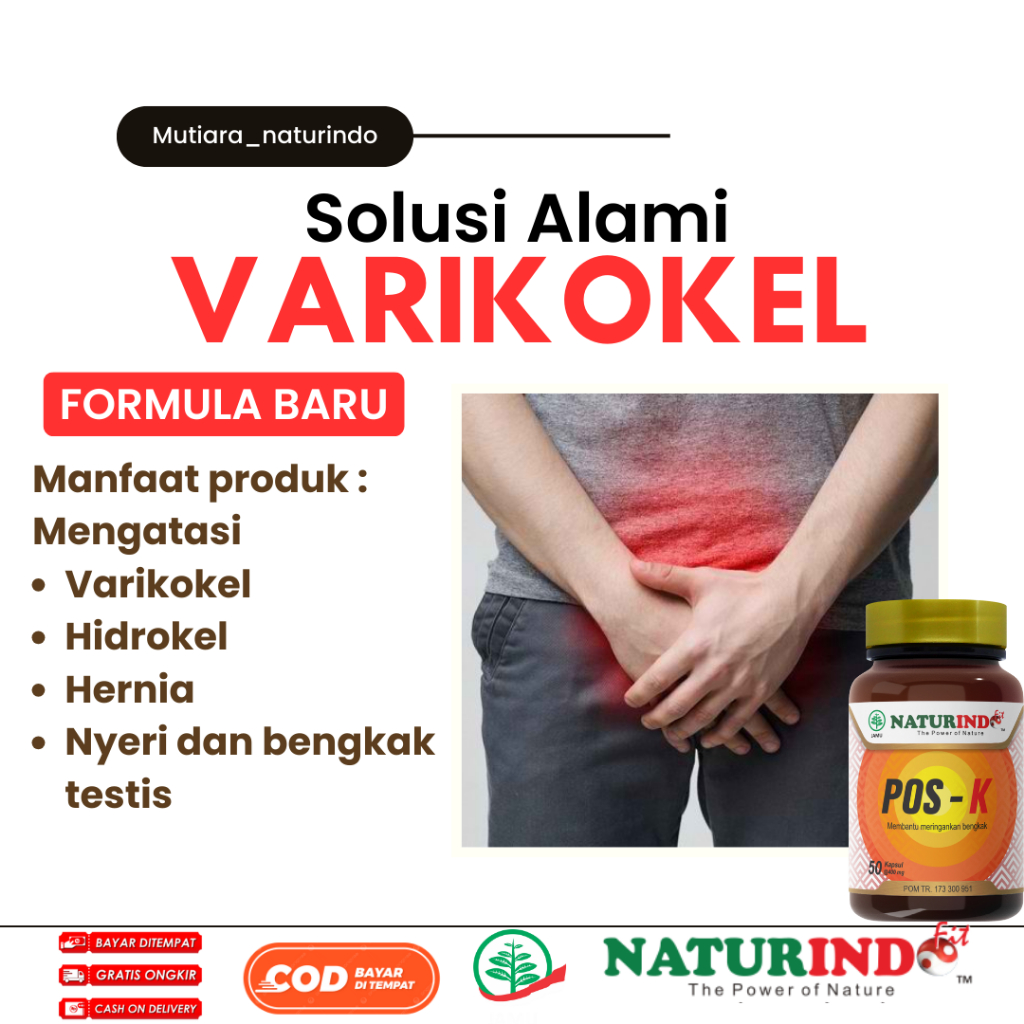 Obat Herbal varikokel benjolan testis Tiroid Gondok Hipertiroid Hipotiroid || Naturindo Obat Kelenja