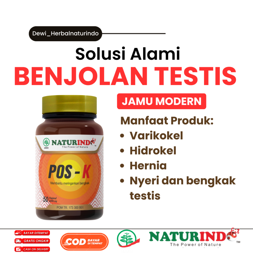 Obat Herbal varikokel benjolan testis Tiroid Gondok Hipertiroid Hipotiroid || Naturindo Obat Kelenja