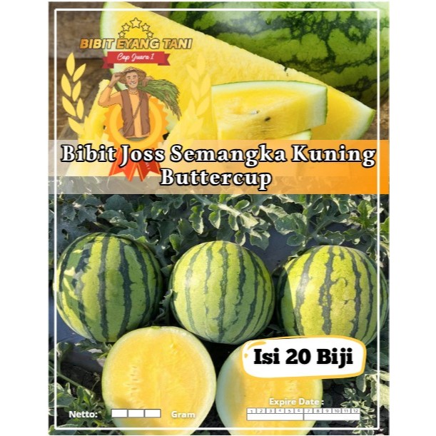 Bibit Joss Semangka Kuning Buttercup | Biji Benih Semangka Kuning | Semangka Kuning