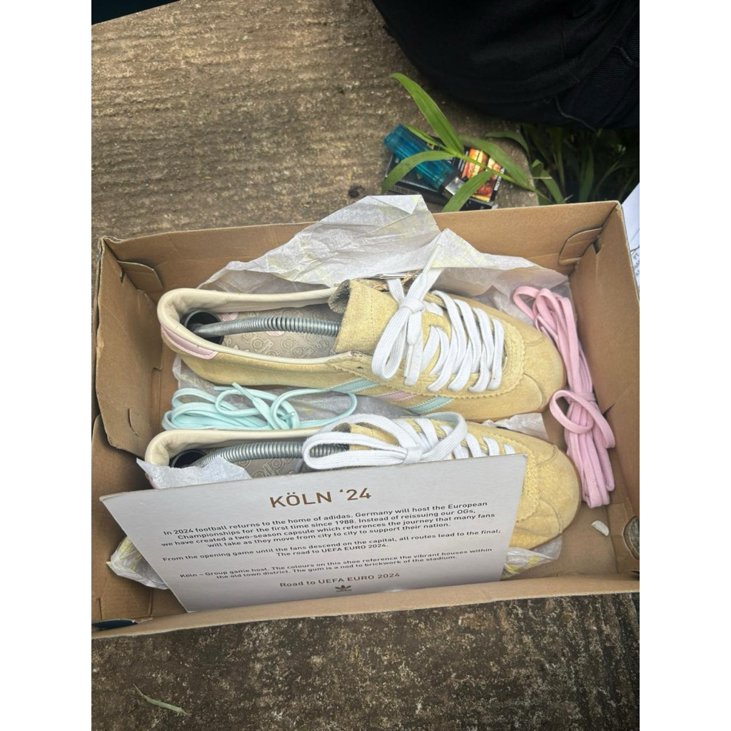 adidas koln 24