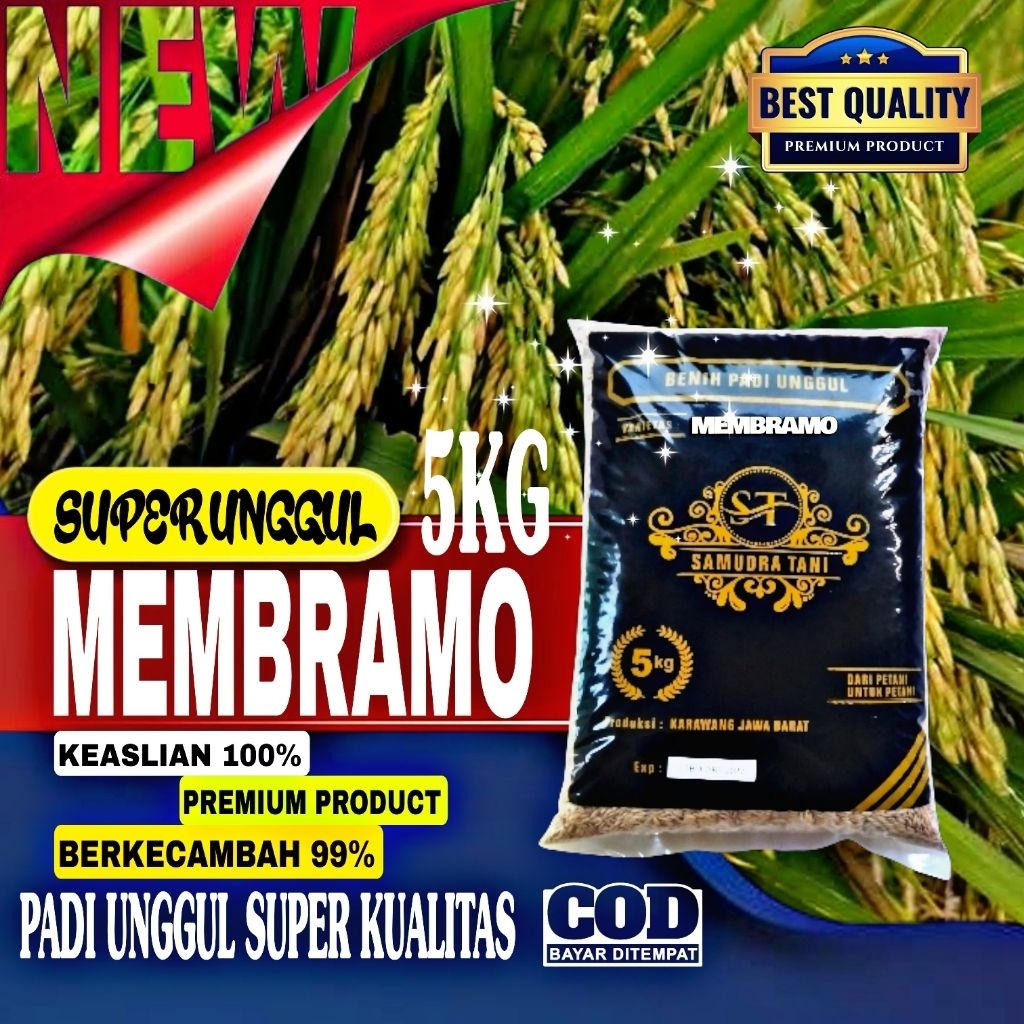 promo 5kg benih padi MEMBRAMO gabah unggul berkualitas