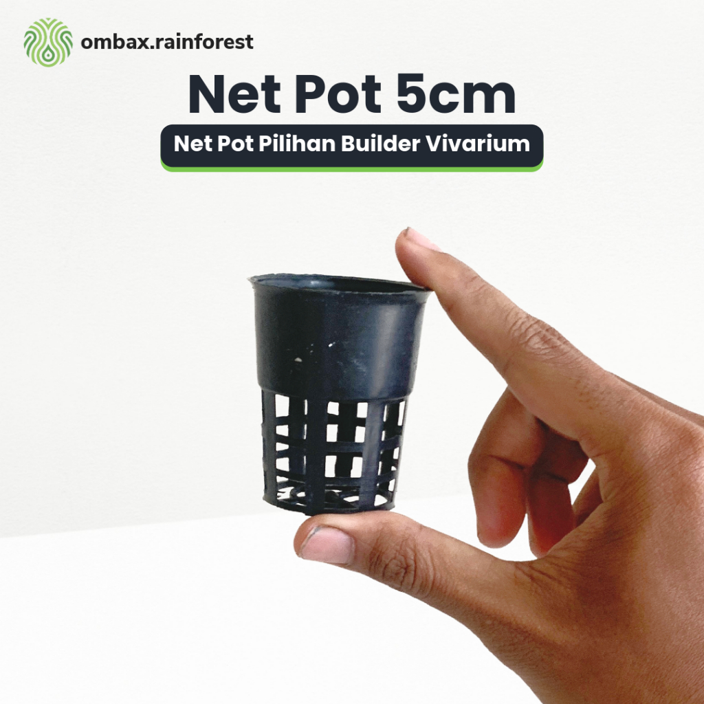 Net Pot 5cm - Pot Tanaman Kecil untuk Hardscape Terrarium Vivarium