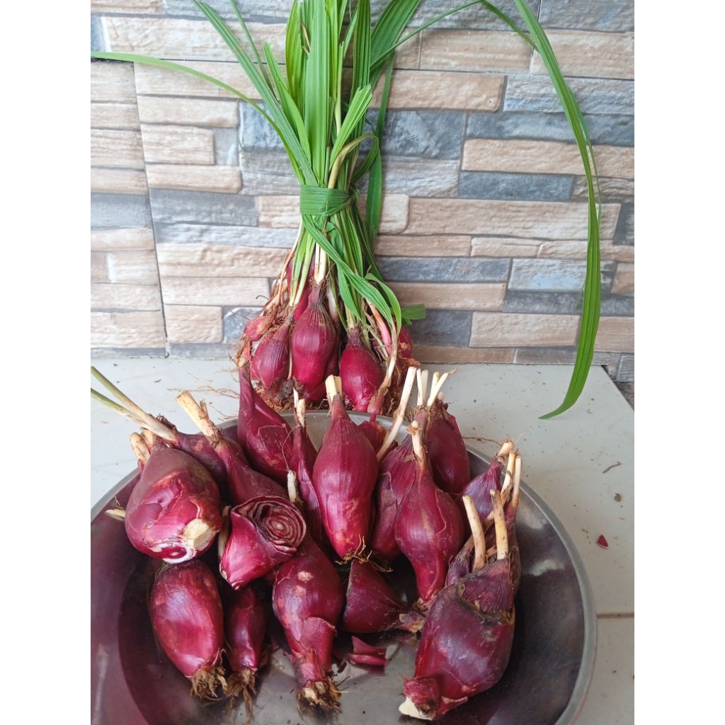 bawang dayak segar 1kg