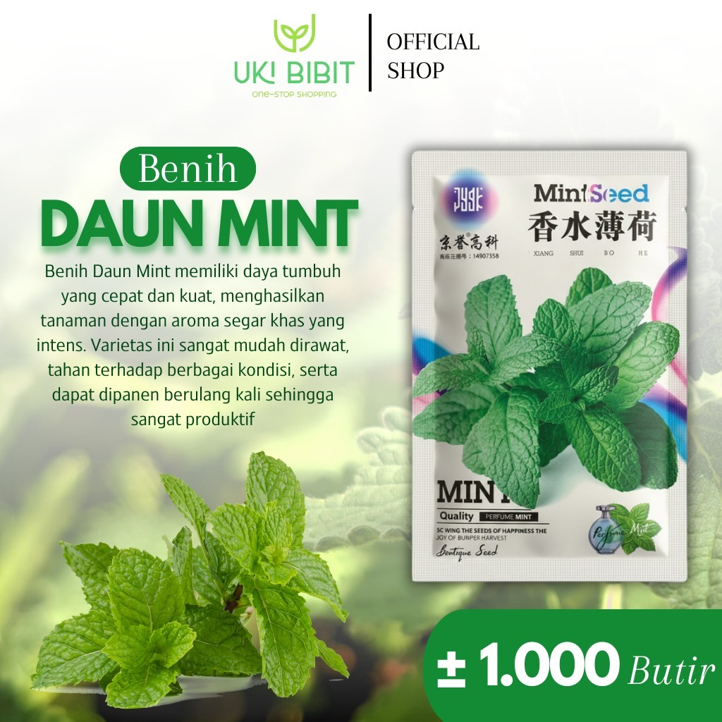 Kemasan Original | Benih Biji Daun Mint | Mentha | Daun Peppermint | Common Mint