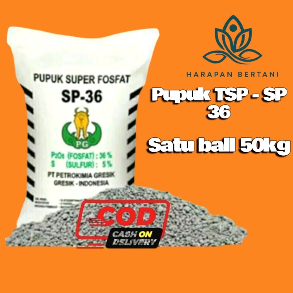 pupuk TSP -36 satu ball 50kg termurah original