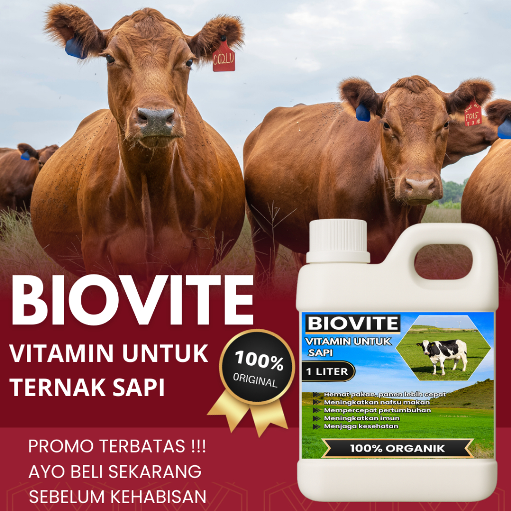 Vitamin penggemuk sapi-lebih lahap makan-penambah nafsu makan