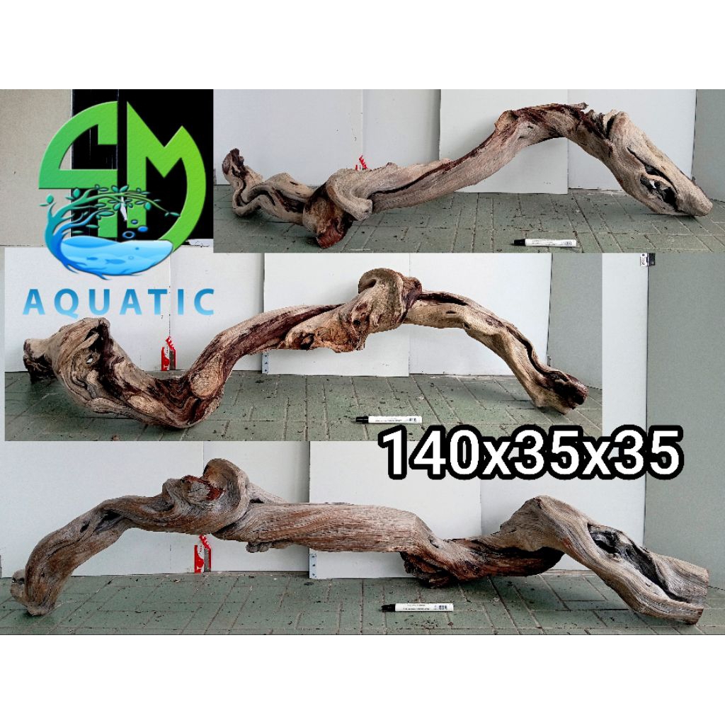 santigi laut tenggelam,aquascape