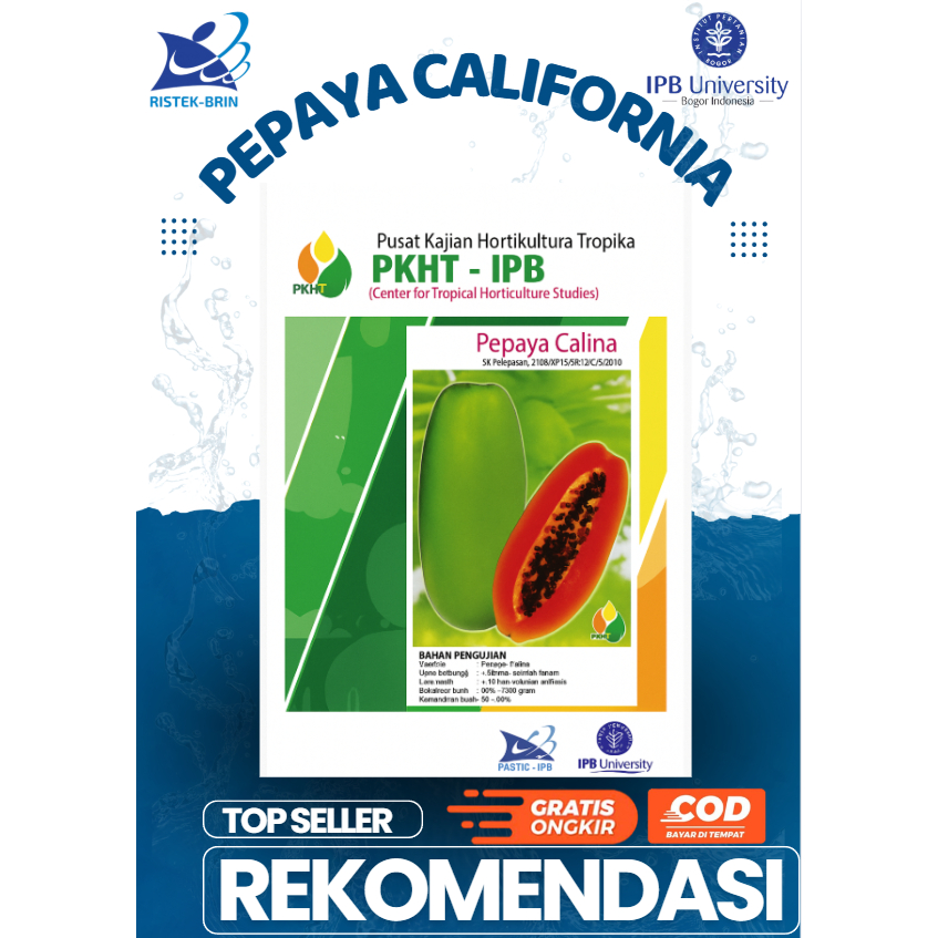 ORIGINAL Benih Pepaya California / Calina PKHT IPB-9