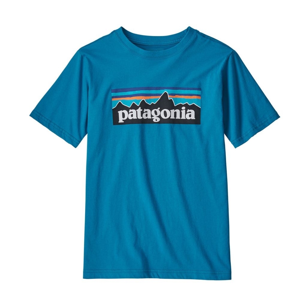 Kaos Patagonia P6 Logo Second