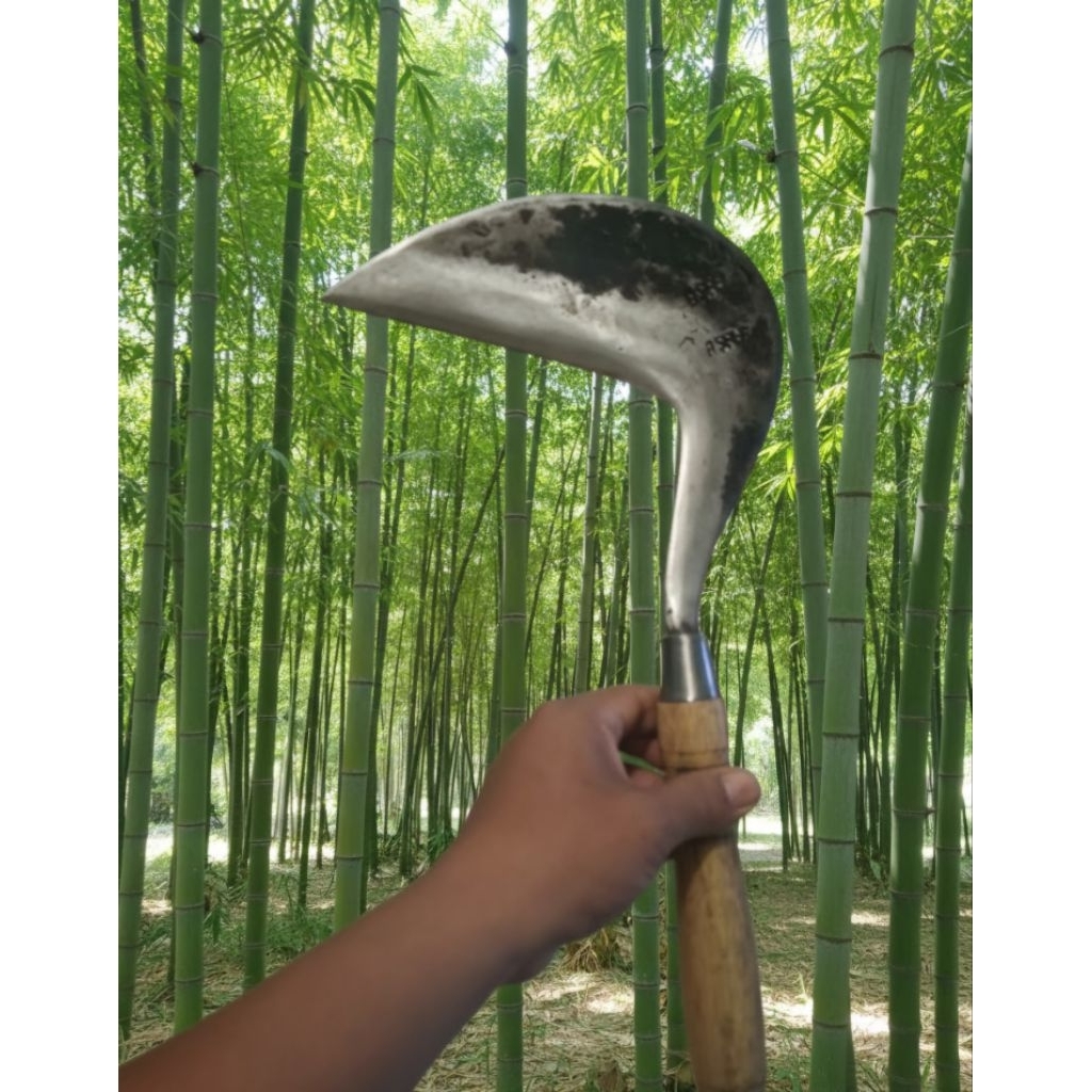 Arit/Sabit Rumput Super Tajam Baja Asli CAP ASPER [ Silenyap ]