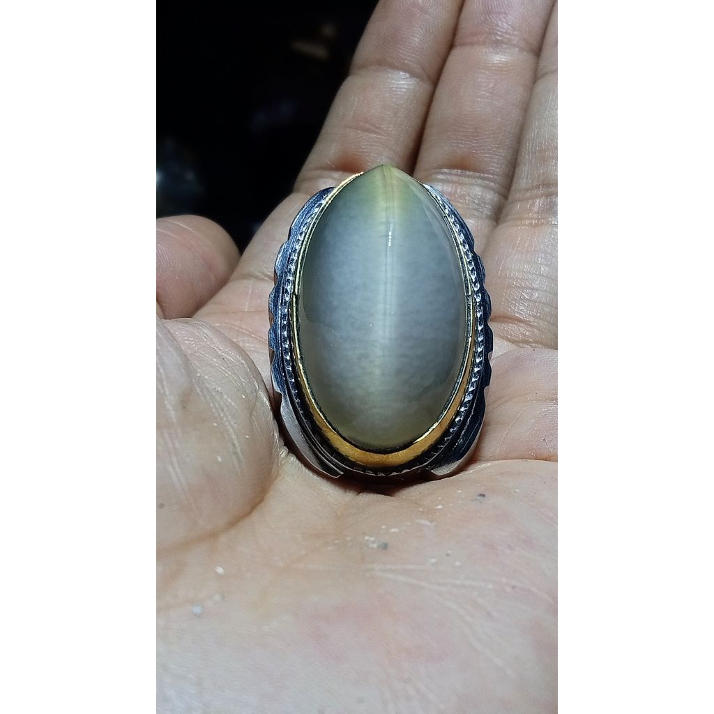 batu akik pandan kapas sisik betik cat ey