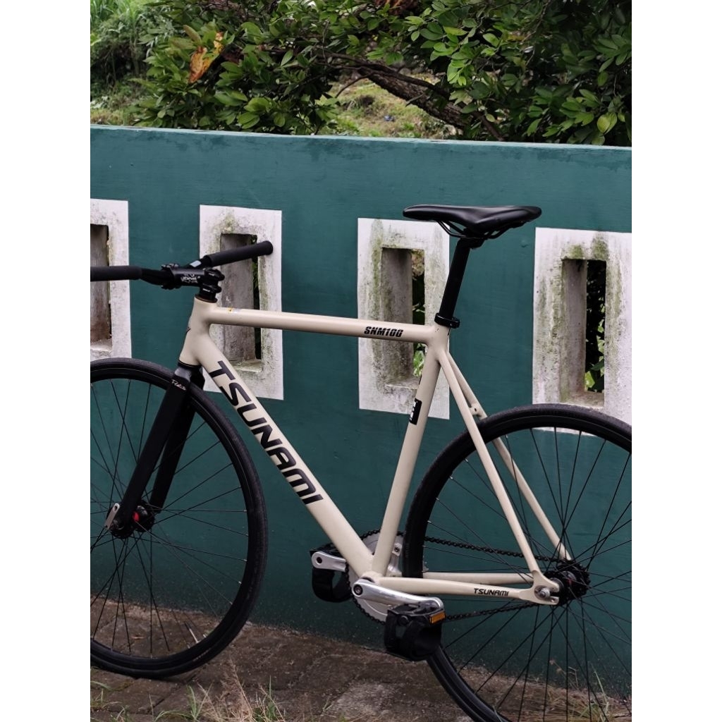 frame tsunami snm 100 size L, fork pco lite