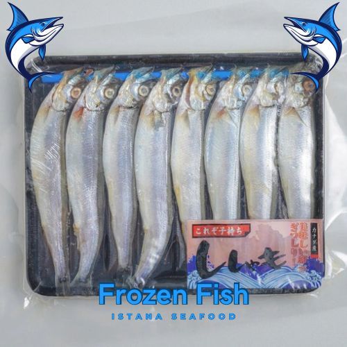 Ikan Shisamo - Shisamo Fish Fresh - Shisamo Telur - Capelin Fish Premium