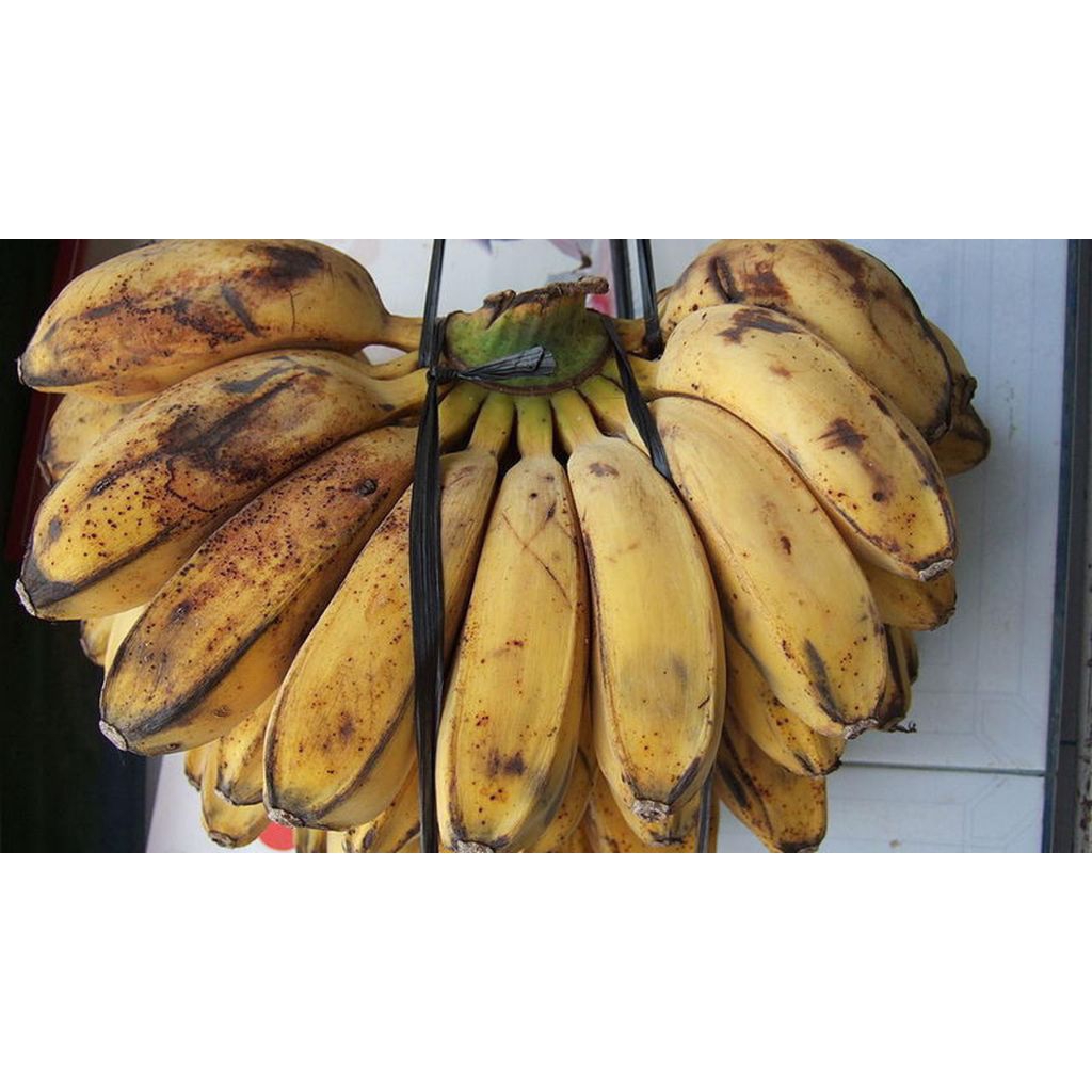 pisang kepok madu/kuning Cianjur per 1kg