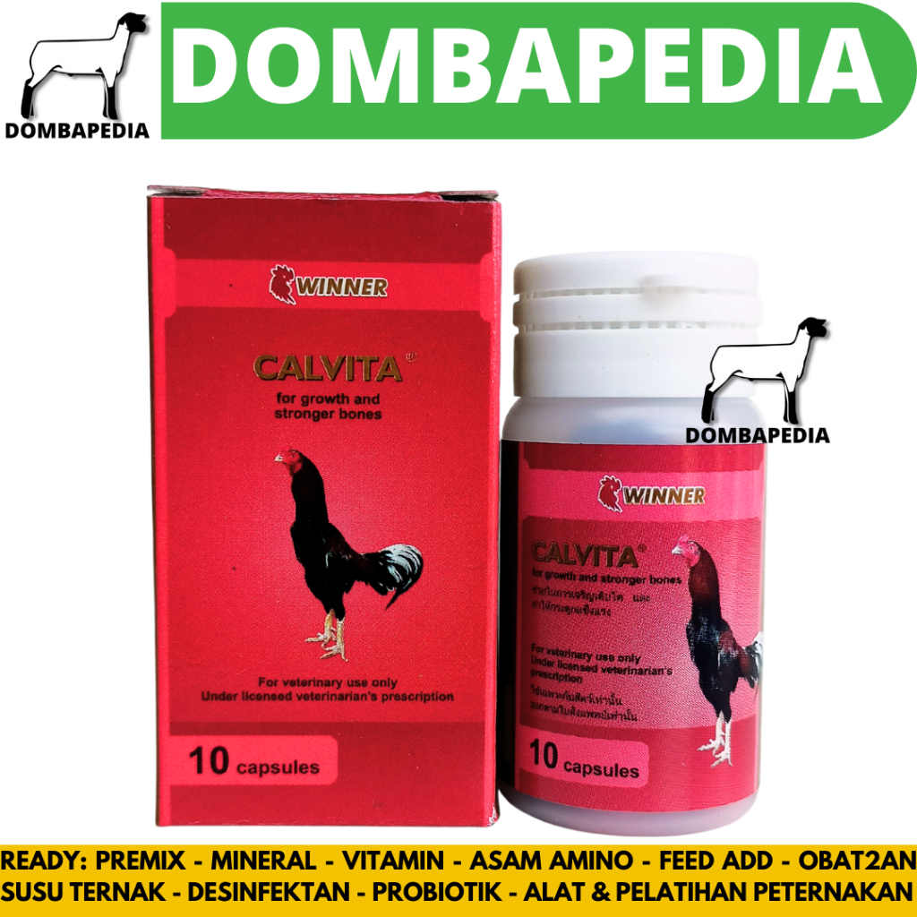 CALVITA WINNER LAGA 10 Kapsul - Obat Ayam Lumpuh & Tulang Kuat Ayam Laga Aduan Medion