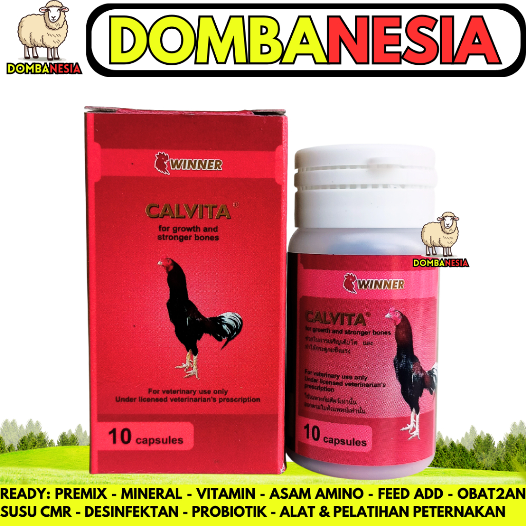 CALVITA WINNER LAGA 10 Kapsul - Obat Ayam Lumpuh & Tulang Kuat Ayam Laga Aduan Medion