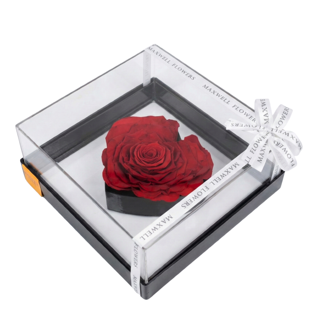 Eternal Frame Rose Love Exclusive Gift - Maxwell Flowers