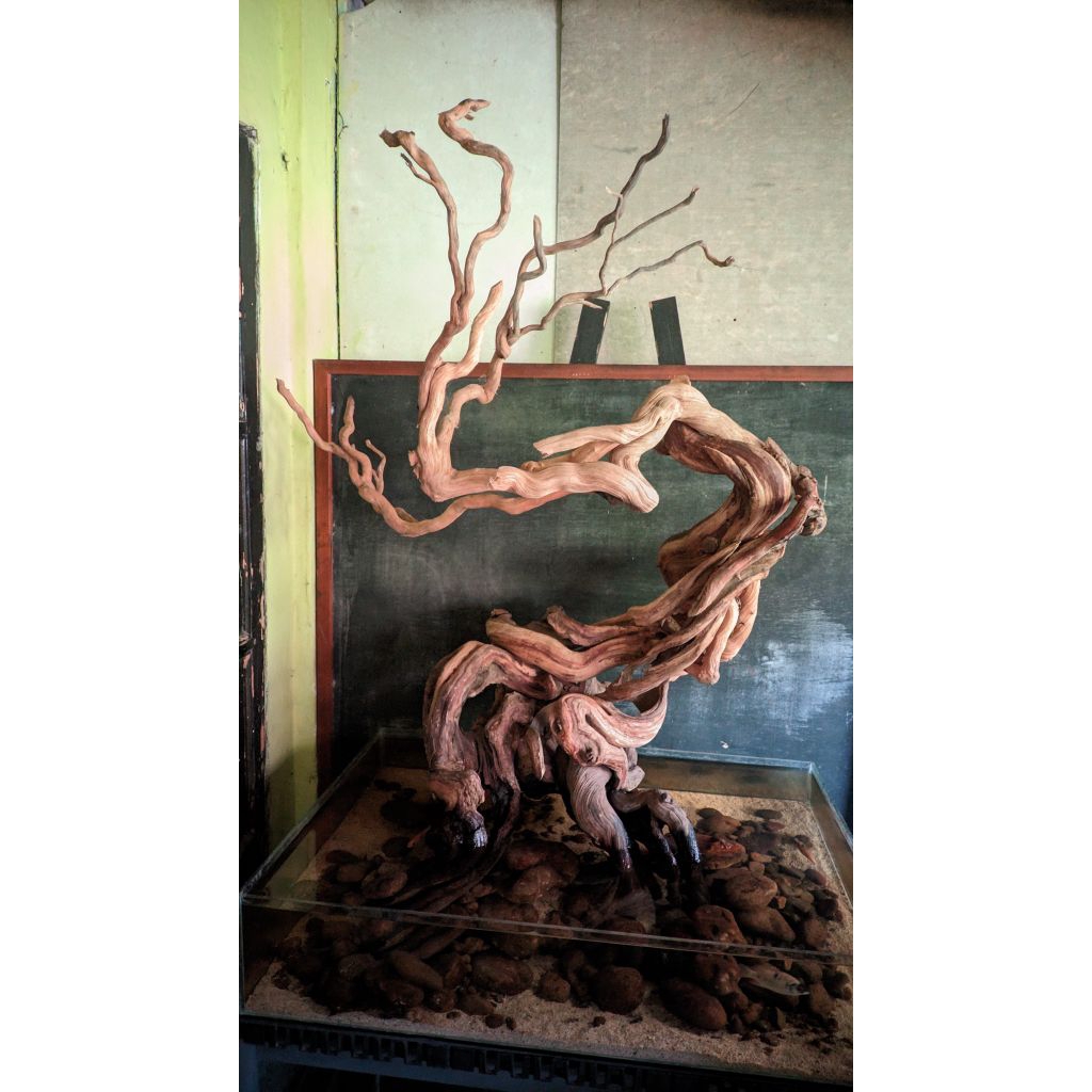 Kayu liyana hardscape aquascape vivarium