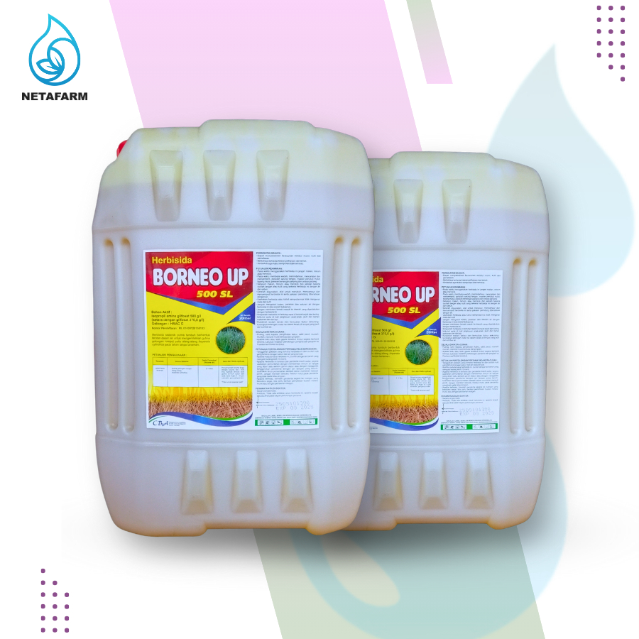HERBISIDA BORNEO UP 500 SL PEMBASMI ANEKA GULMA - 20 LITER