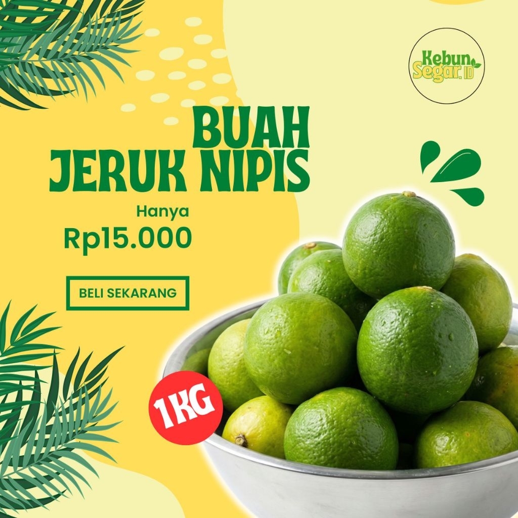 BUAH JERUK NIPIS SEGAR 1KG