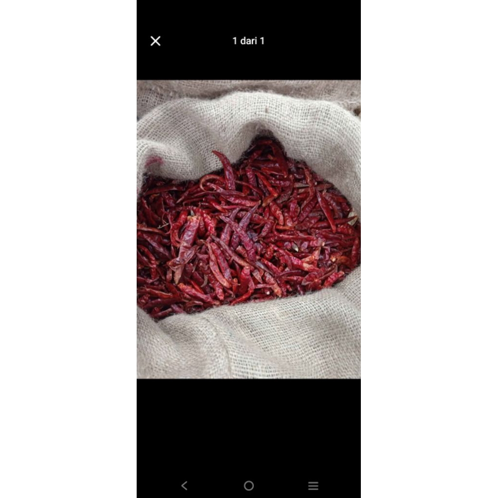 Cabe kering teja | pedas | 10kg (1ball)