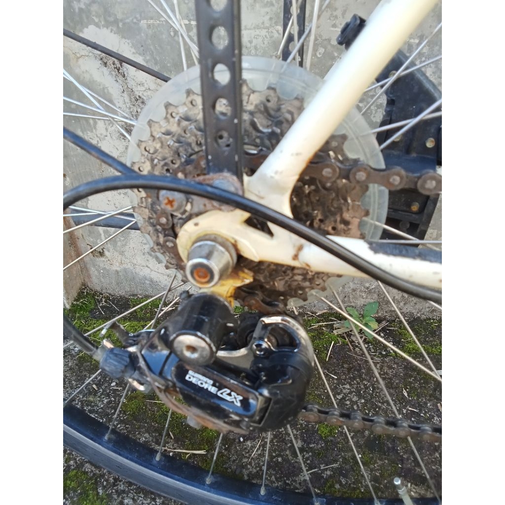 sepeda raleigh technium hybrid