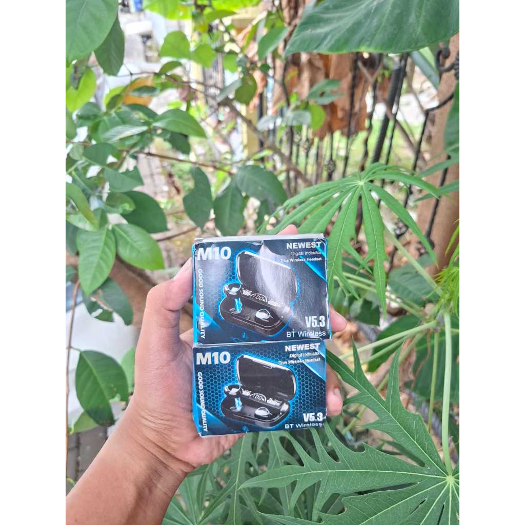 TWS M10