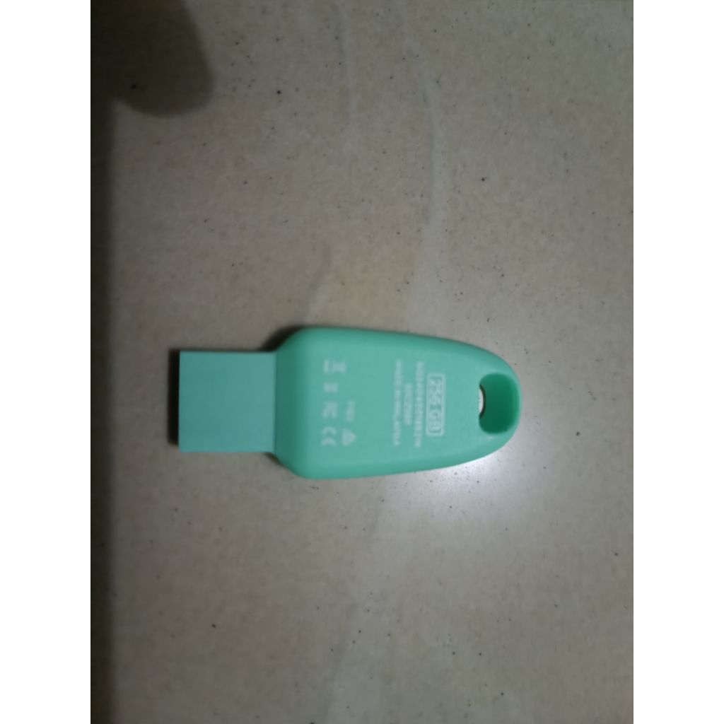 flashdisk sandisk 256gb orie